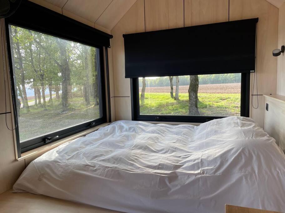 L'Envolee Ecolodge, Tiny House Au Coeur Des Vignes Loches-sur-Ource 外观 照片