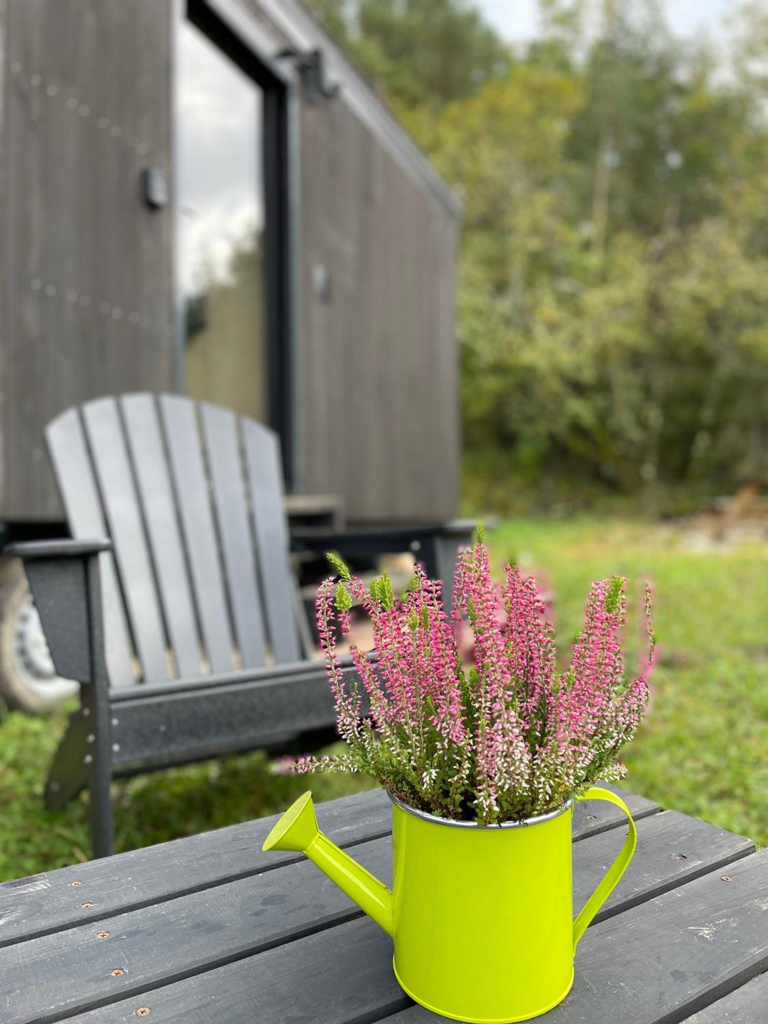 L'Envolee Ecolodge, Tiny House Au Coeur Des Vignes Loches-sur-Ource 外观 照片