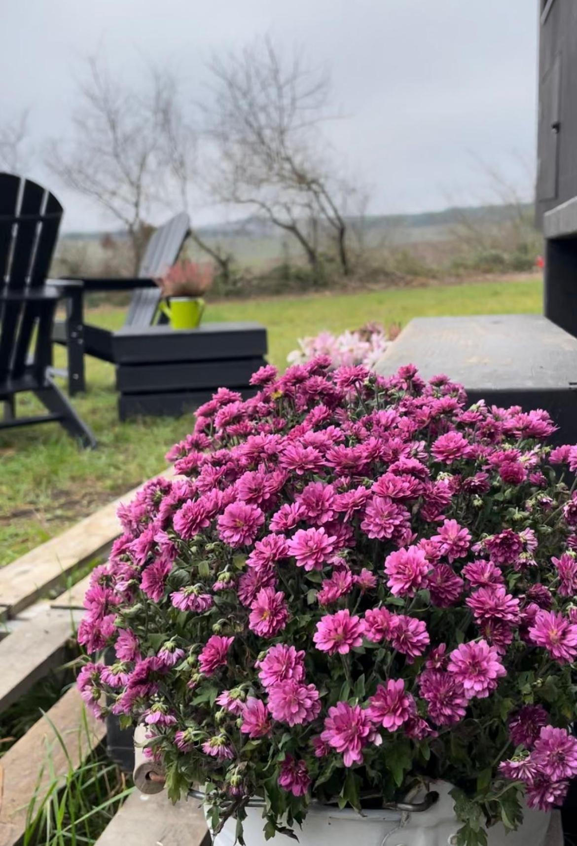 L'Envolee Ecolodge, Tiny House Au Coeur Des Vignes Loches-sur-Ource 外观 照片
